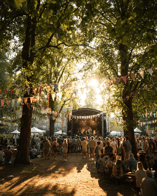 Buitenmuziekfestival in het park