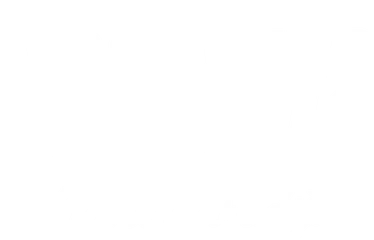 Breebiza